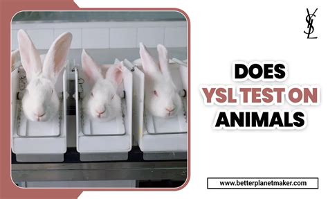 does ysl test on animals|is ysl cruelty free.